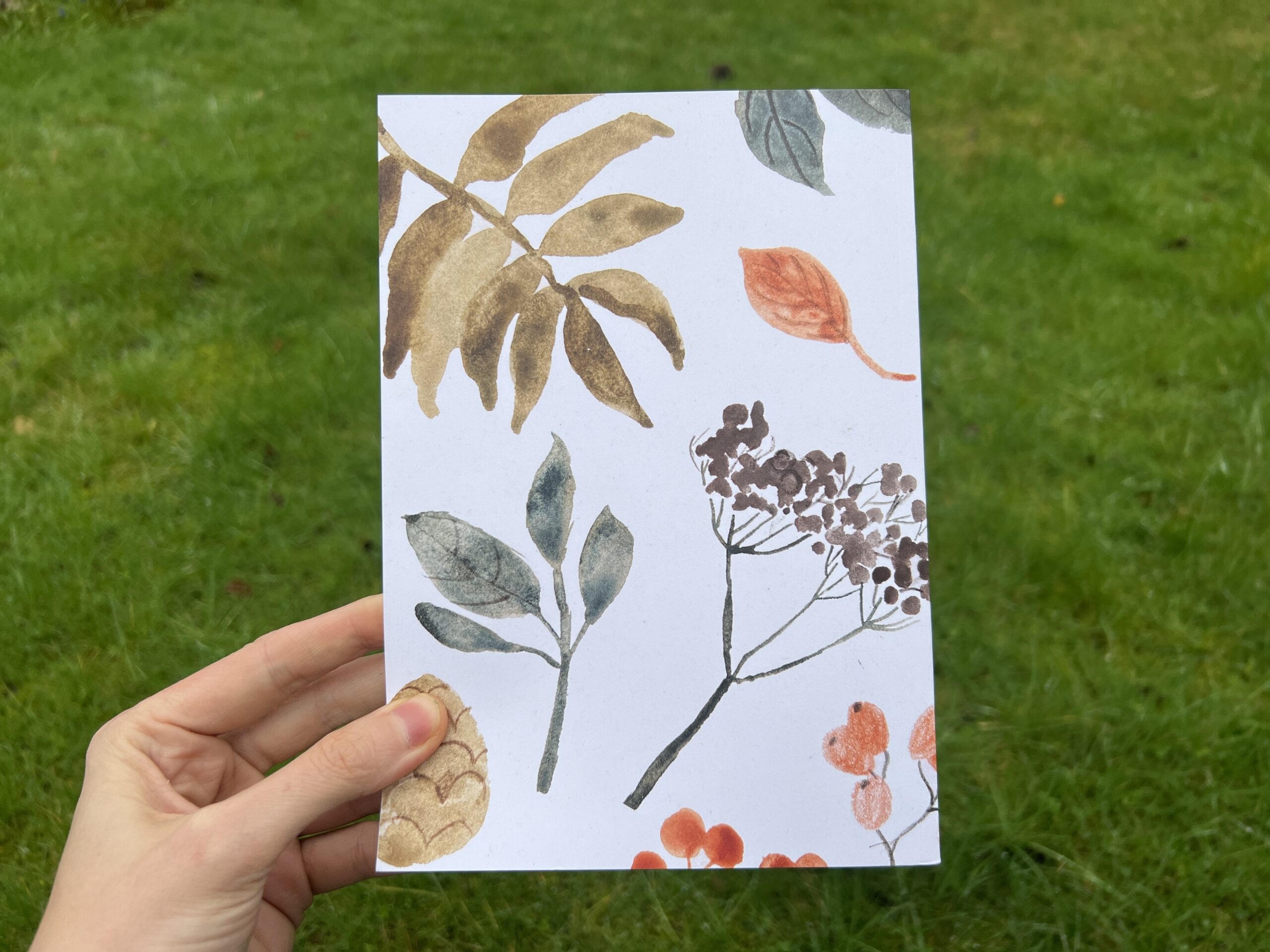 PREORDER A5 zine about Forests in Sketchbooks (100 pages)