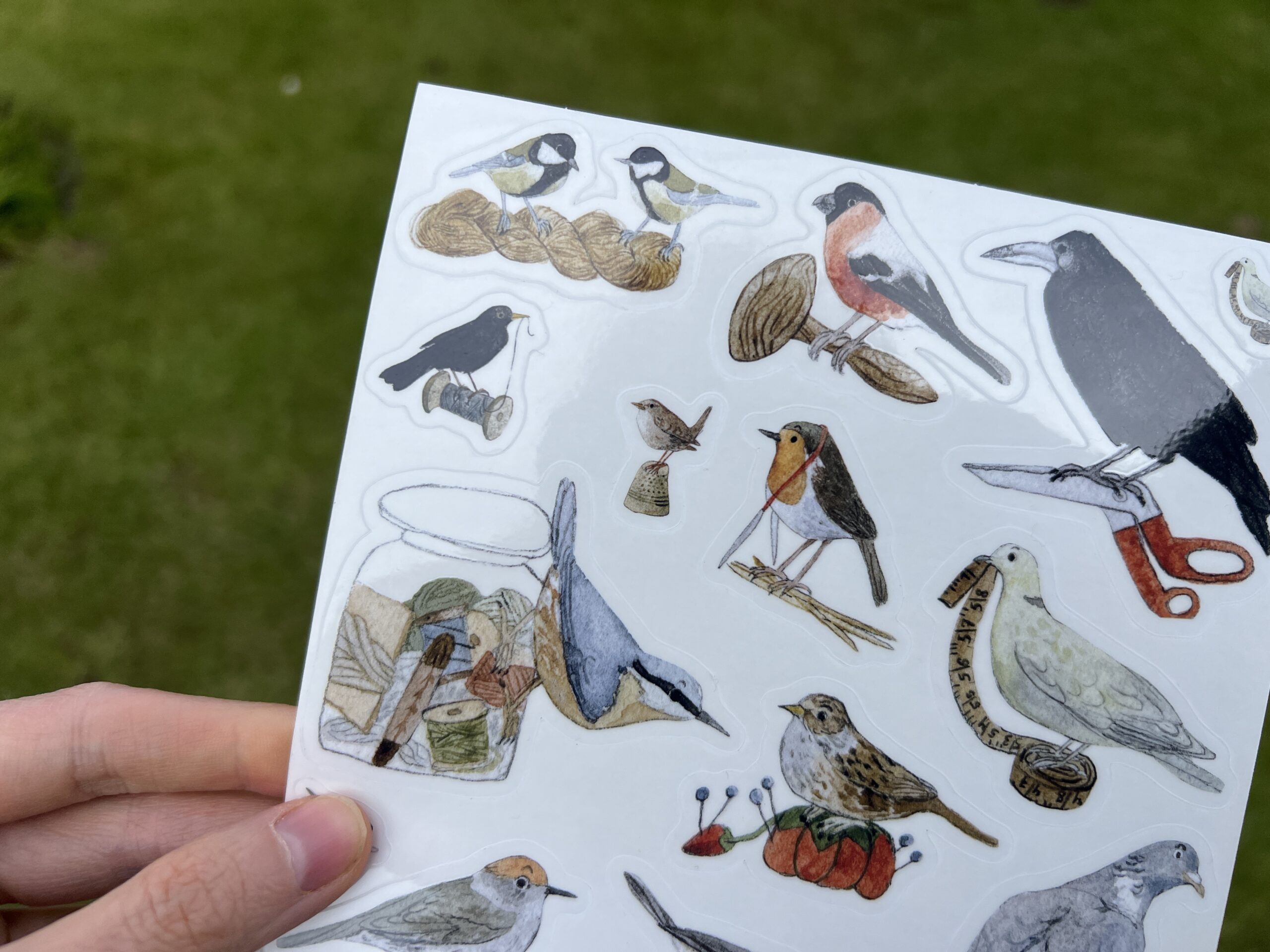 Transparent birds and haberdashery sticker sheet. LARGE SIZE