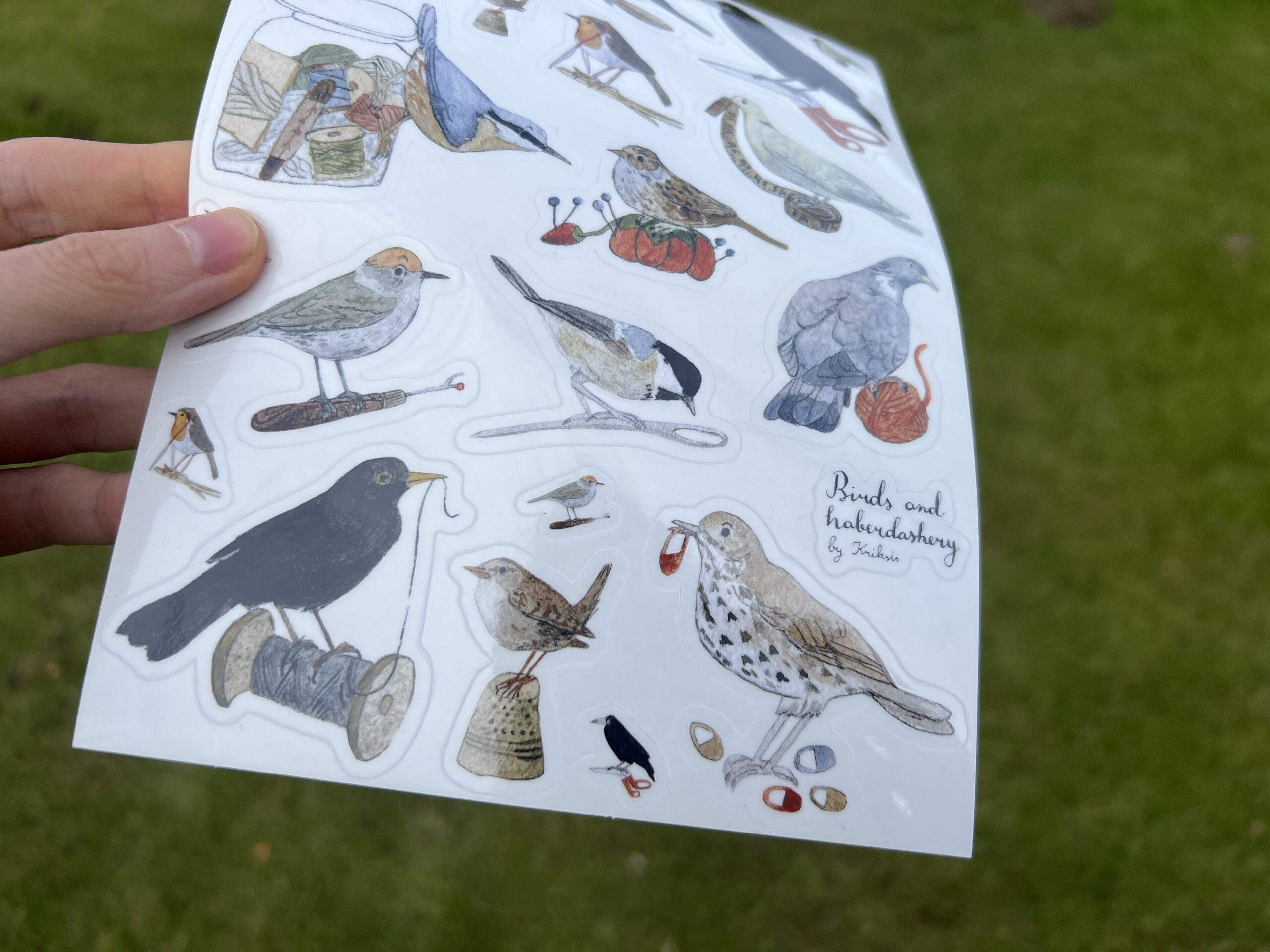 Transparent birds and haberdashery sticker sheet. LARGE SIZE